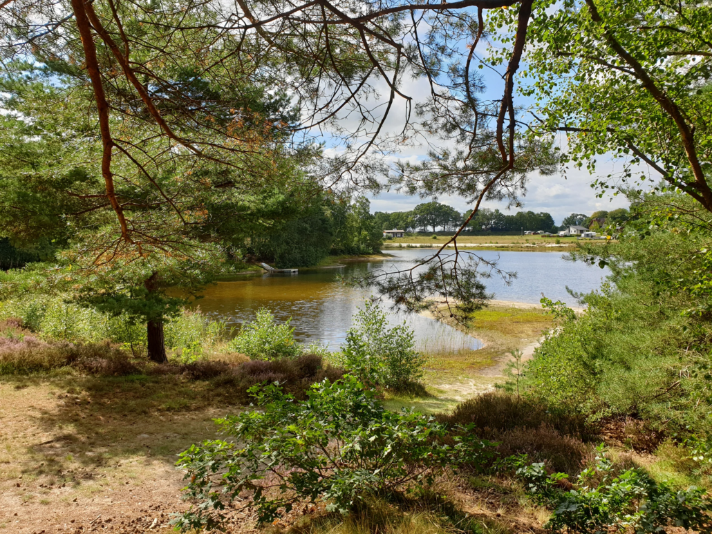 3 Waldseen in unmittelbarer Nähe